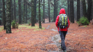 Hiking in the Rain: How to Stay Dry and Comfortable